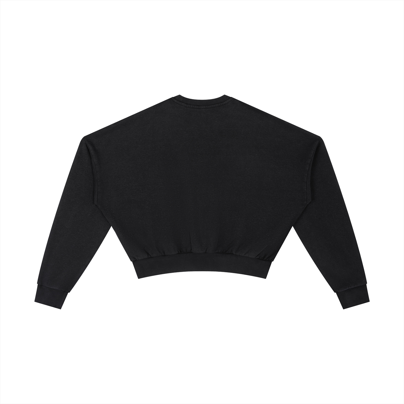 Cropped Graphic Sweatshirt - Latin Icon Birds Streetwear Print (Bachi)