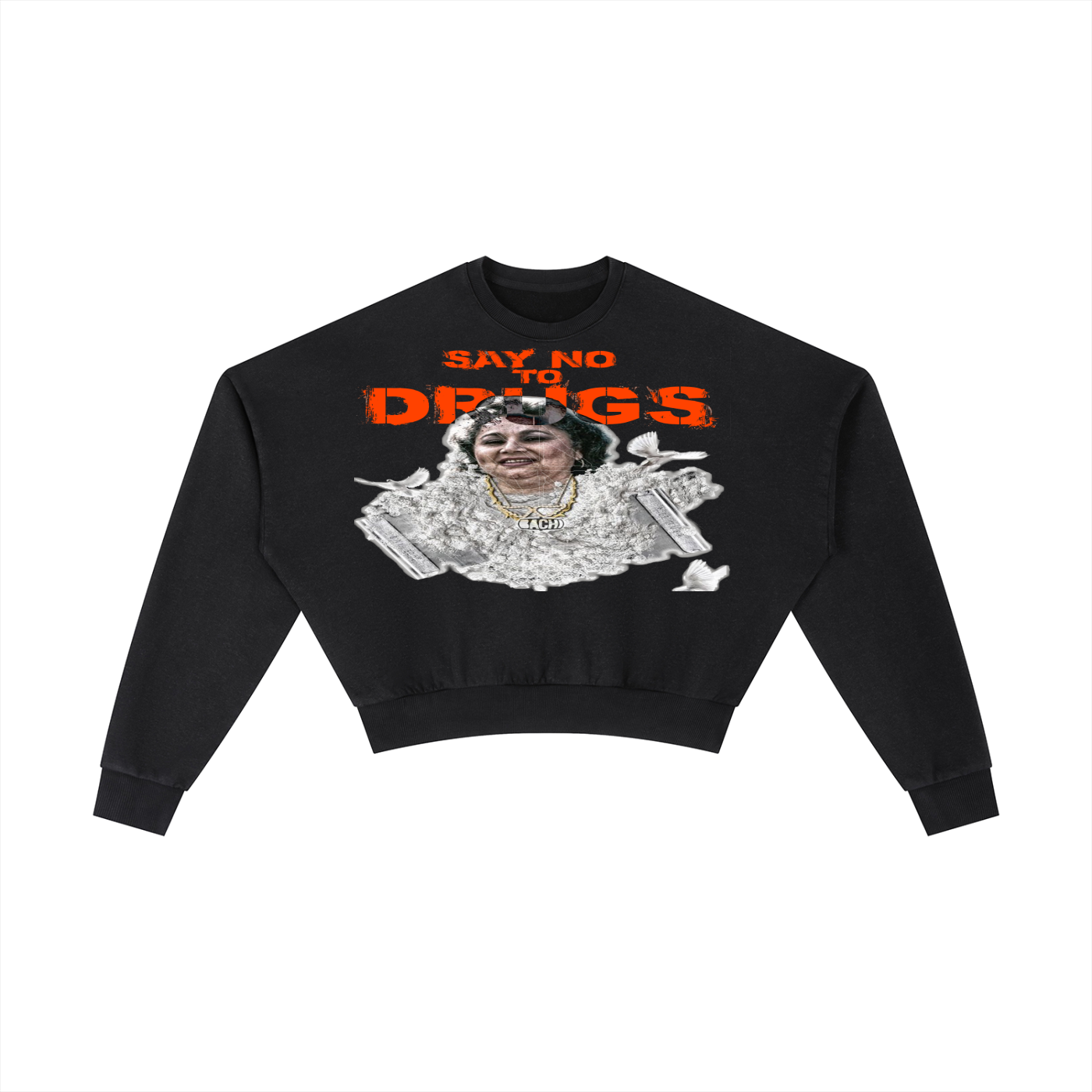 Cropped Graphic Sweatshirt - Latin Icon Birds Streetwear Print (Bachi)