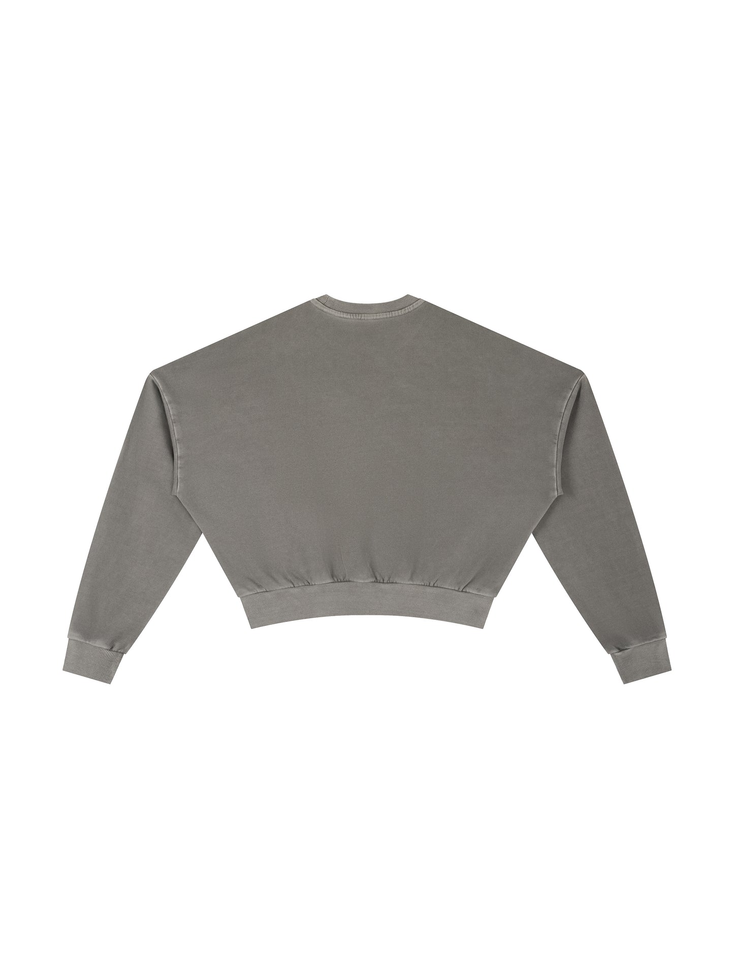Cropped Graphic Sweatshirt - Latin Icon Birds Streetwear Print (Bachi)